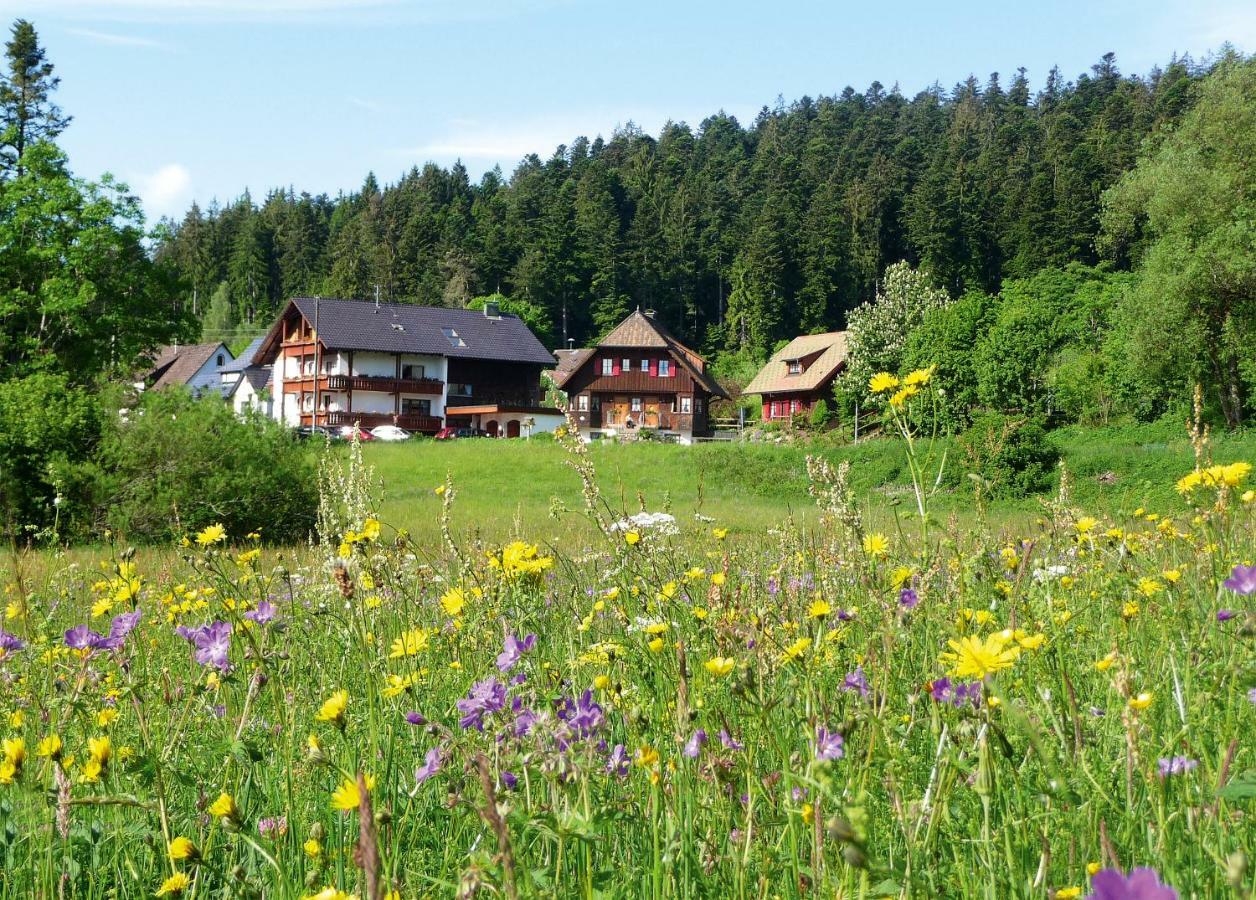 Landhaus Anja Freudenstadt Dış mekan fotoğraf